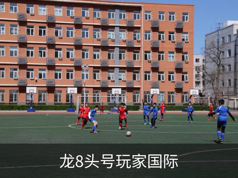 龙8头号玩家国际品牌故事